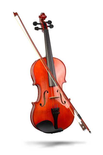 Viola Insurance